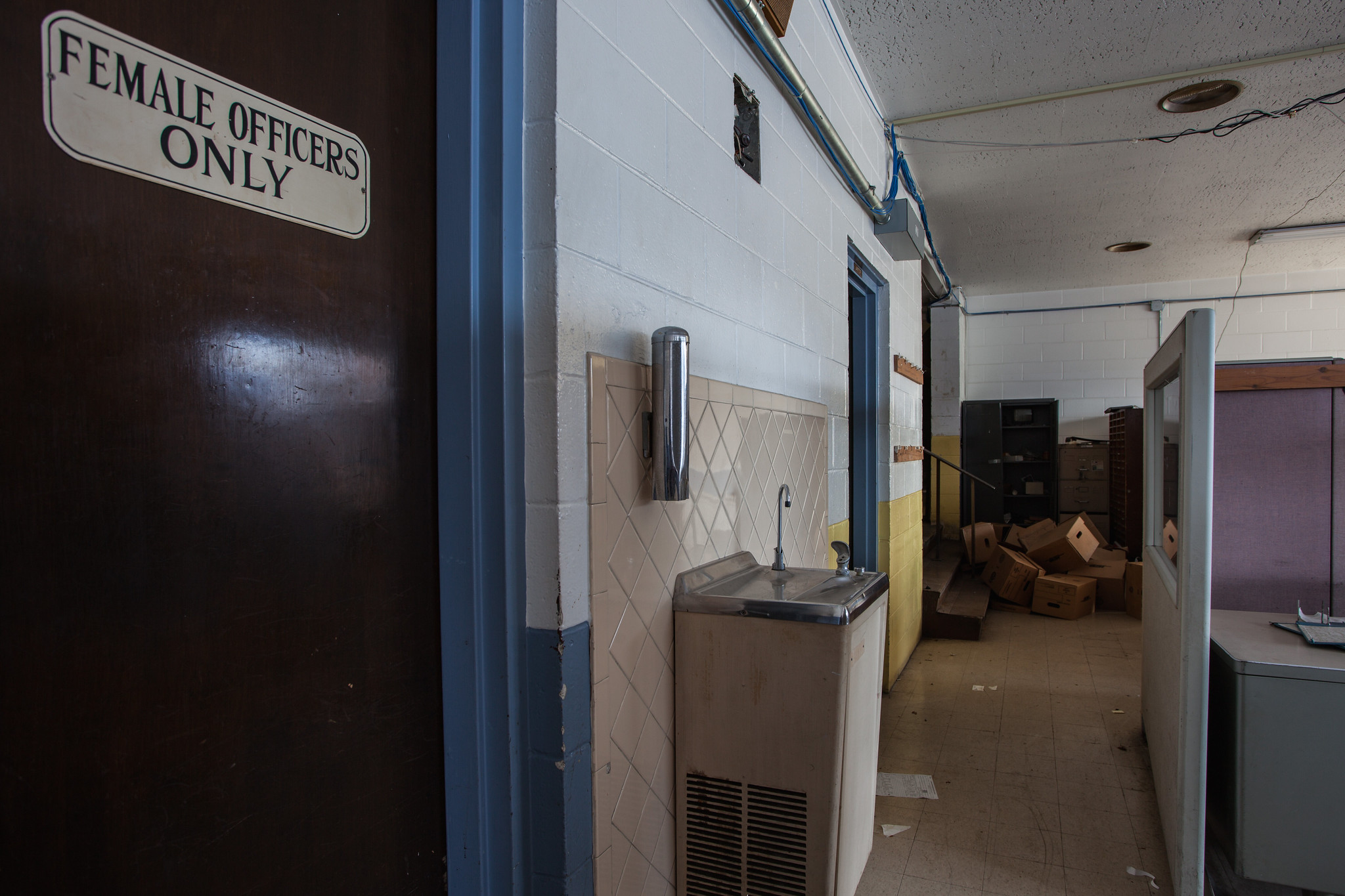 47947035252_22c1cc9248_k (1)