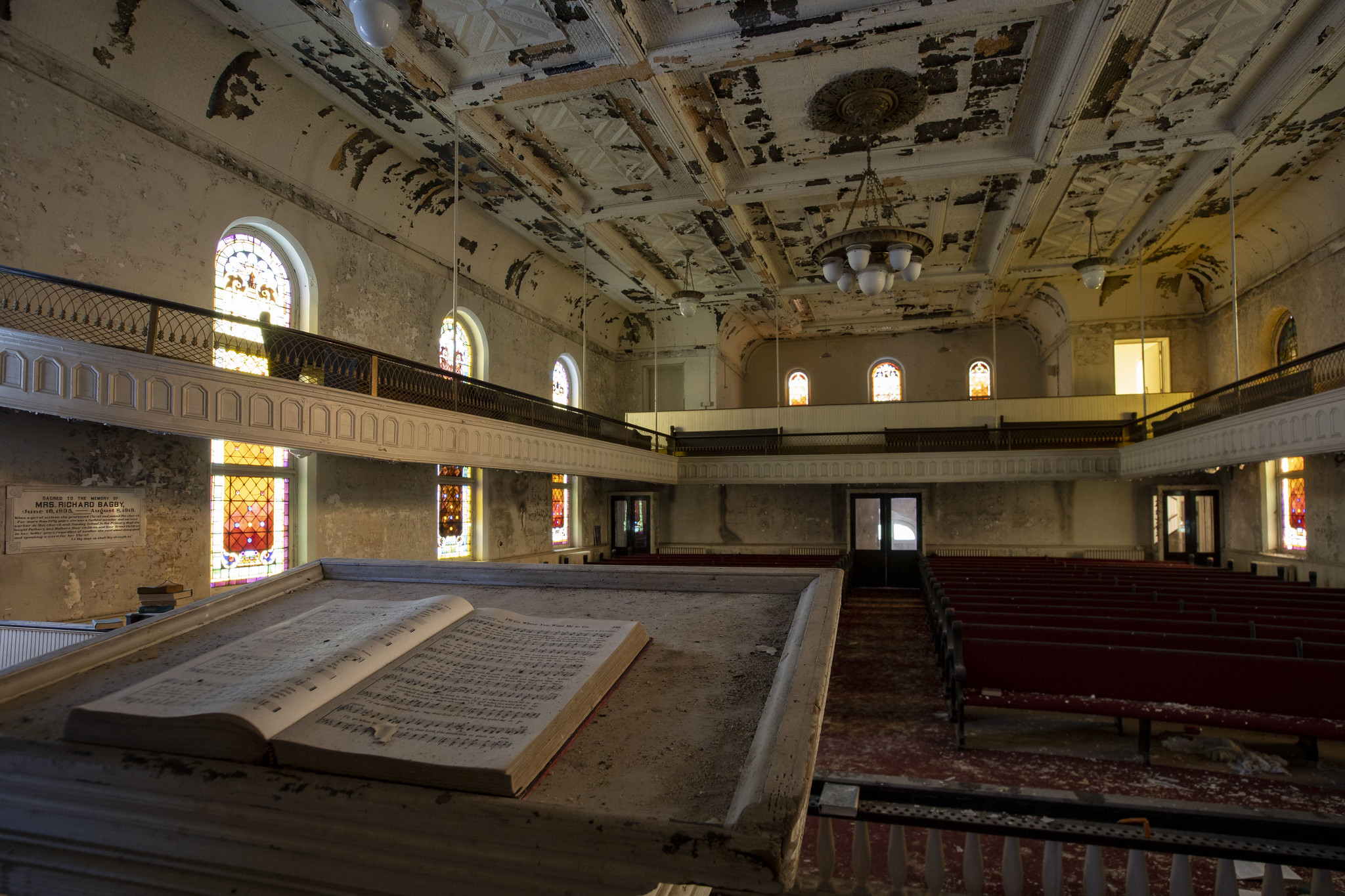 50446719527_c2940af9fc_k