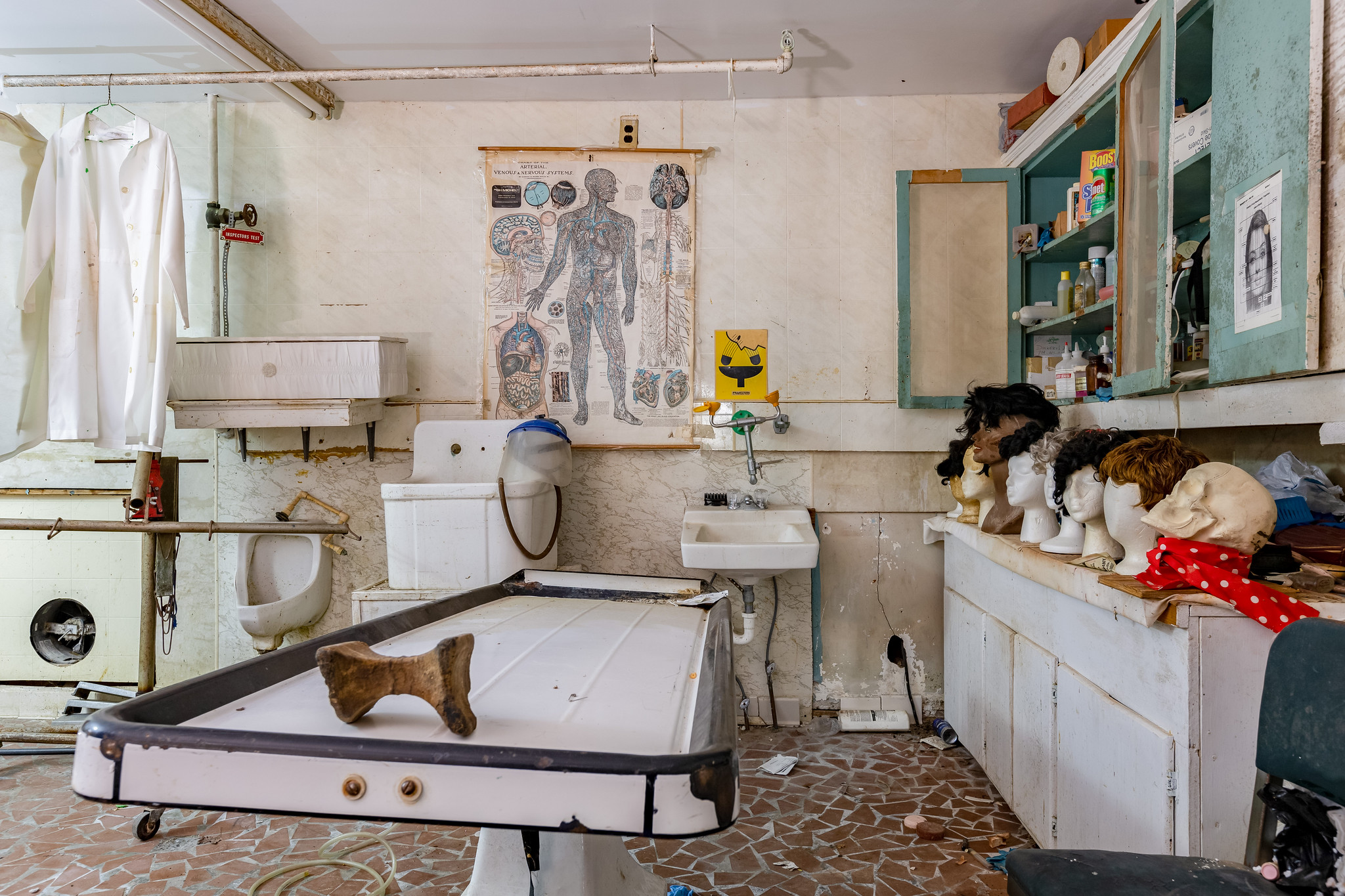 51001903584_8c55ec8bc5_k