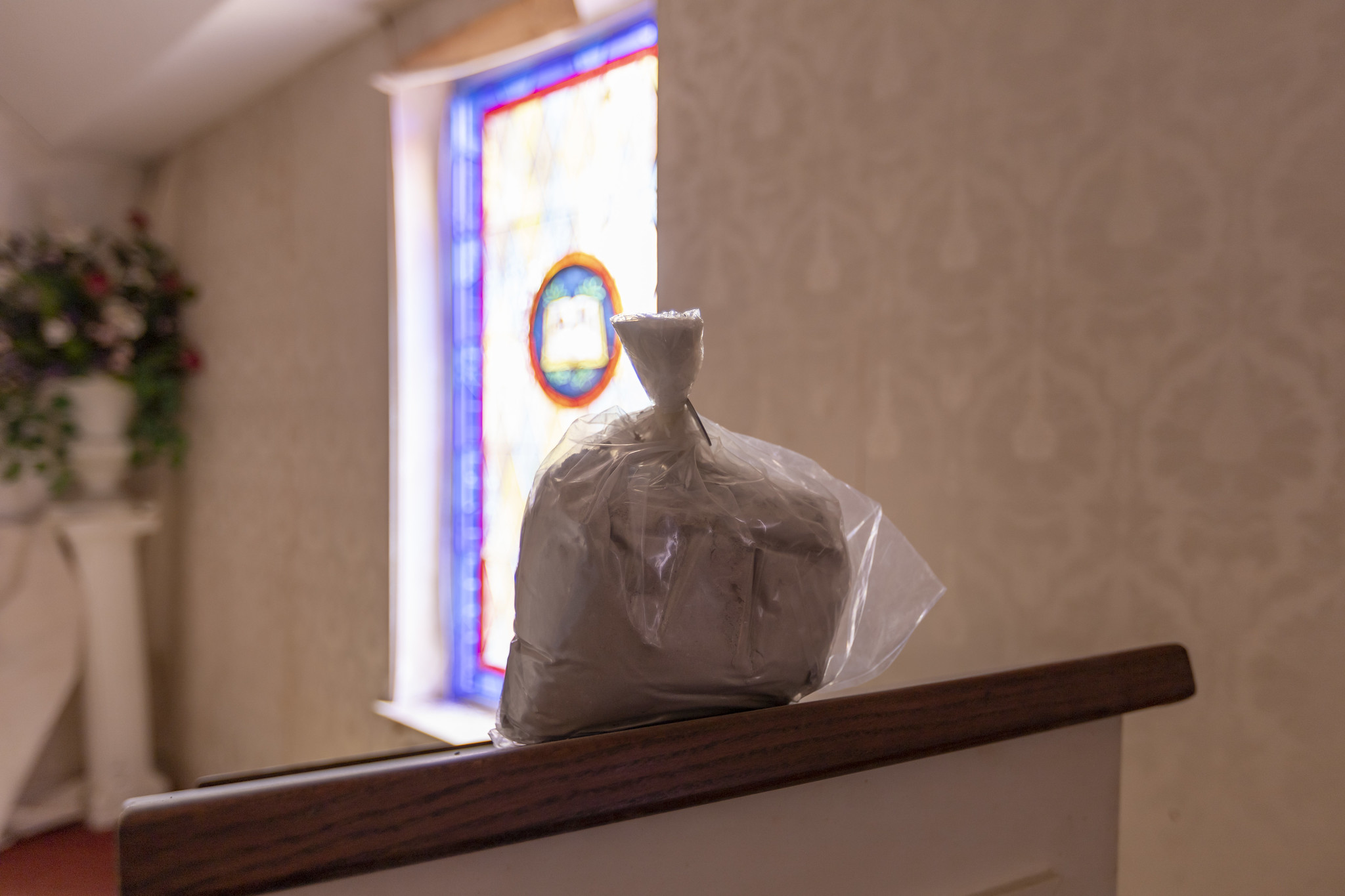 51138655893_488df3f28c_k