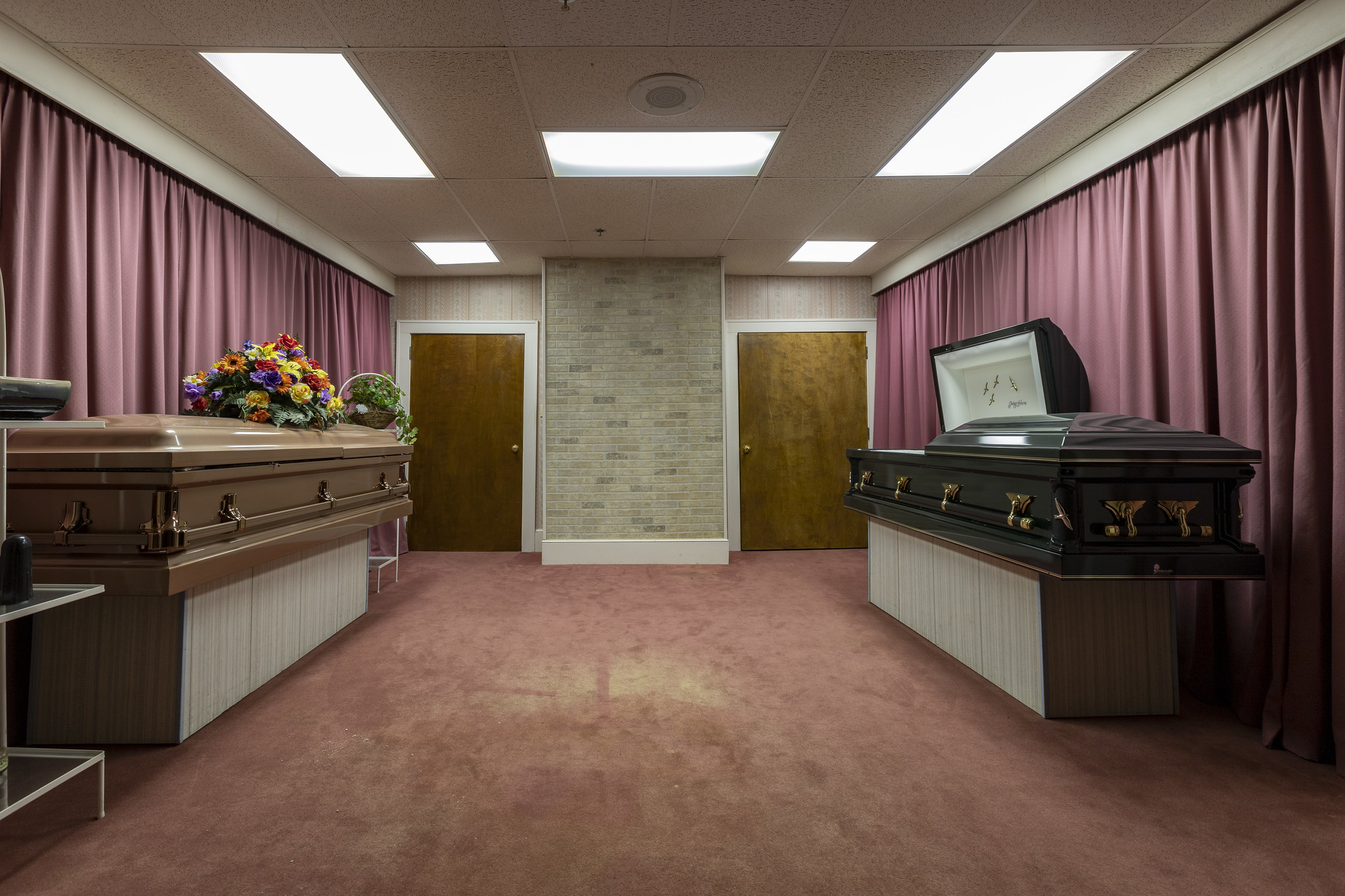 51702305671_00bd7f1509_k