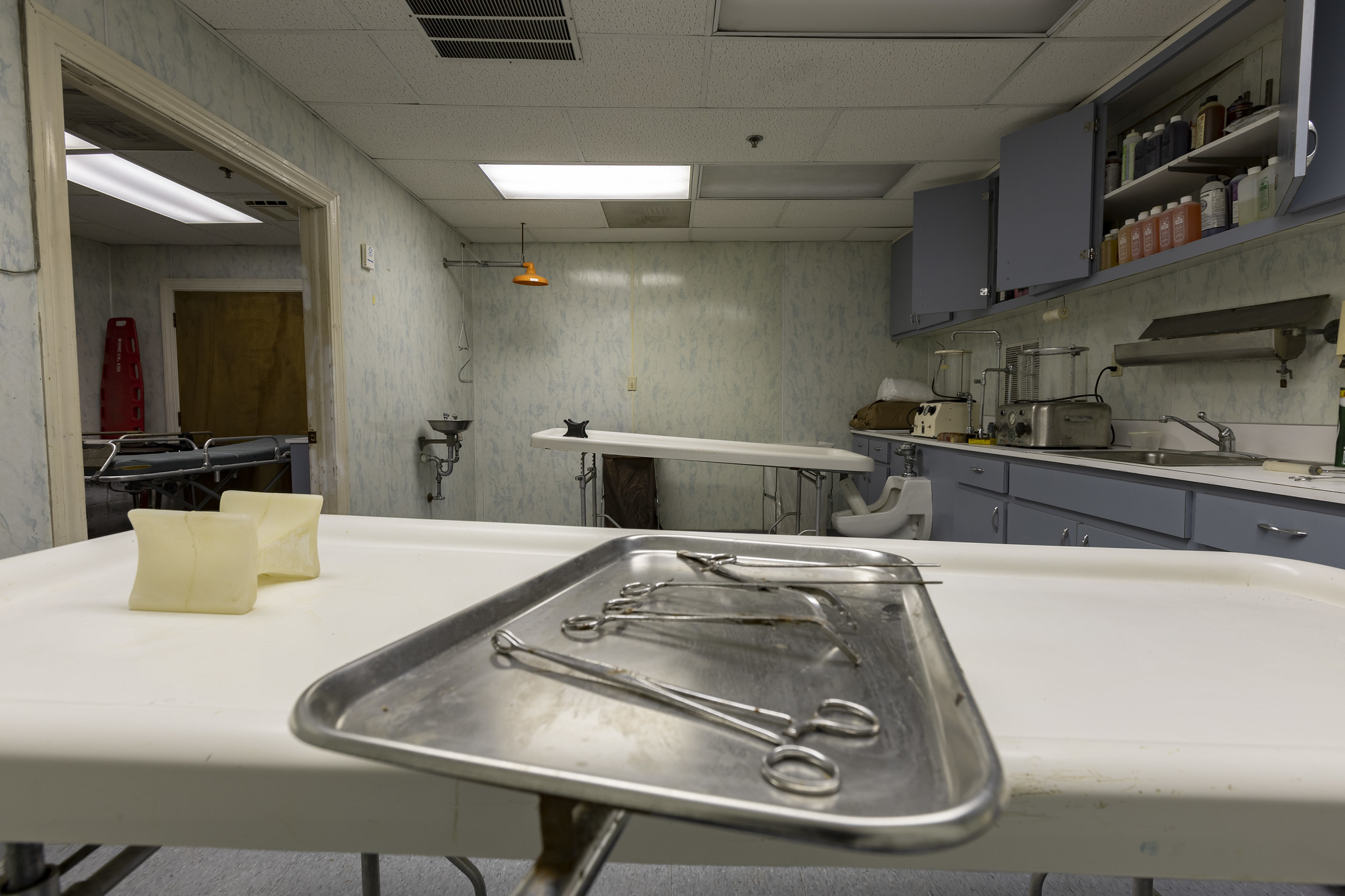 51702982174_e26d88c704_k