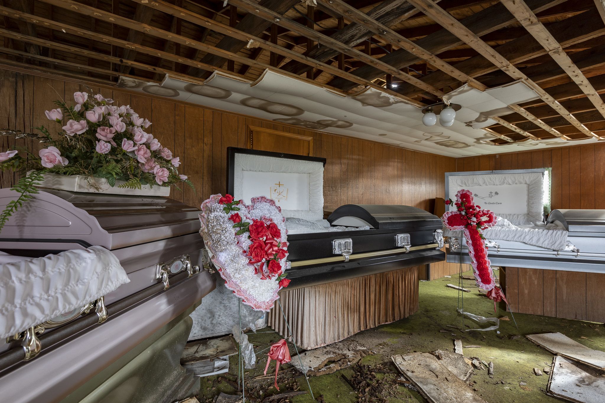 51686188387_10d0f85be8_k