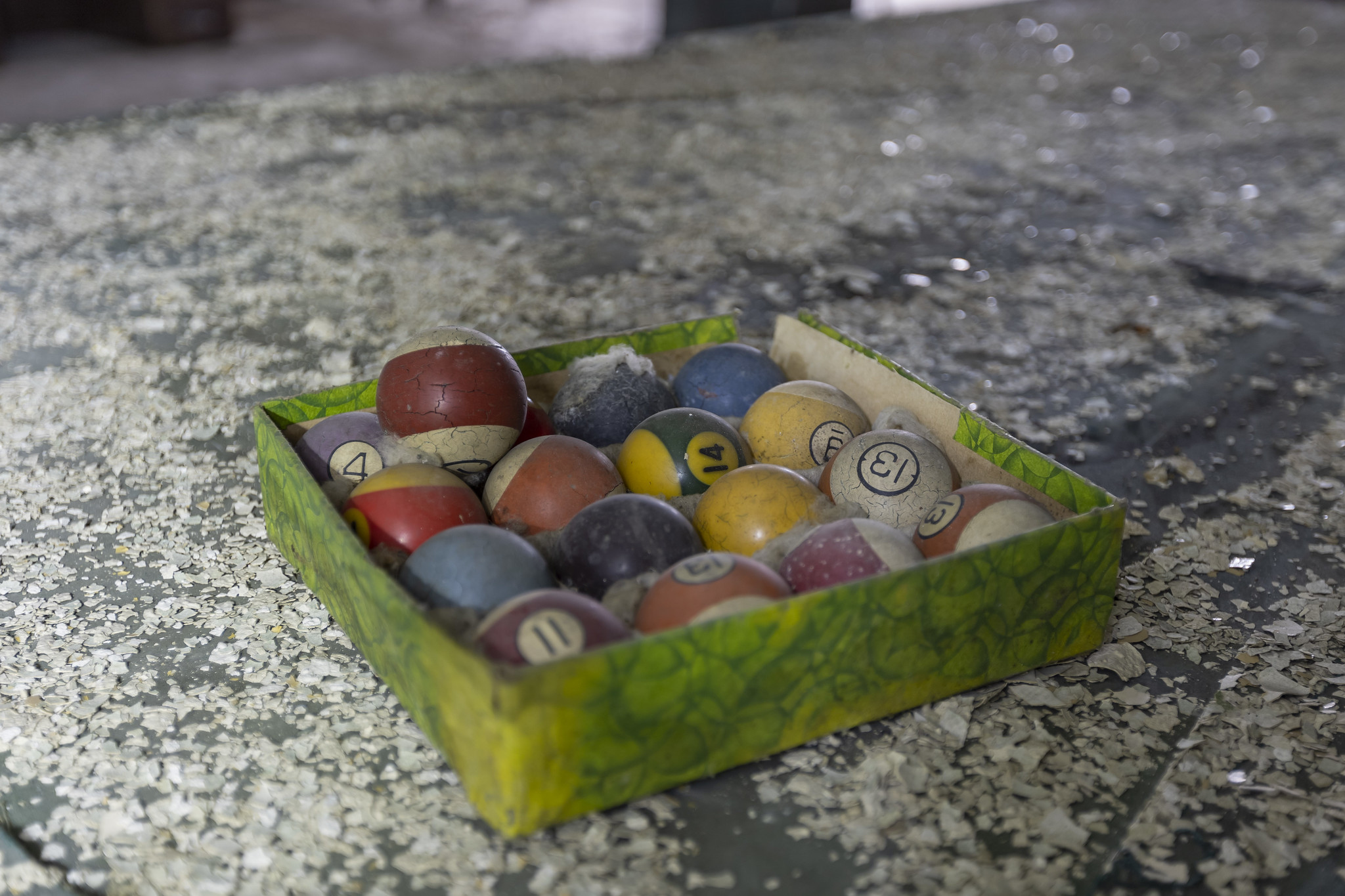 51879758879_2b0bf385df_k