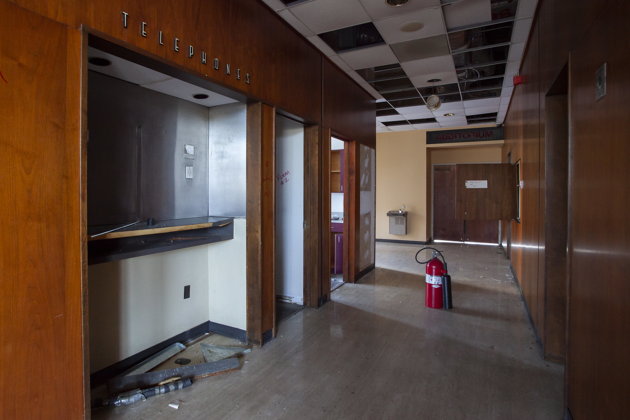 51968884446_fa7156255d_k