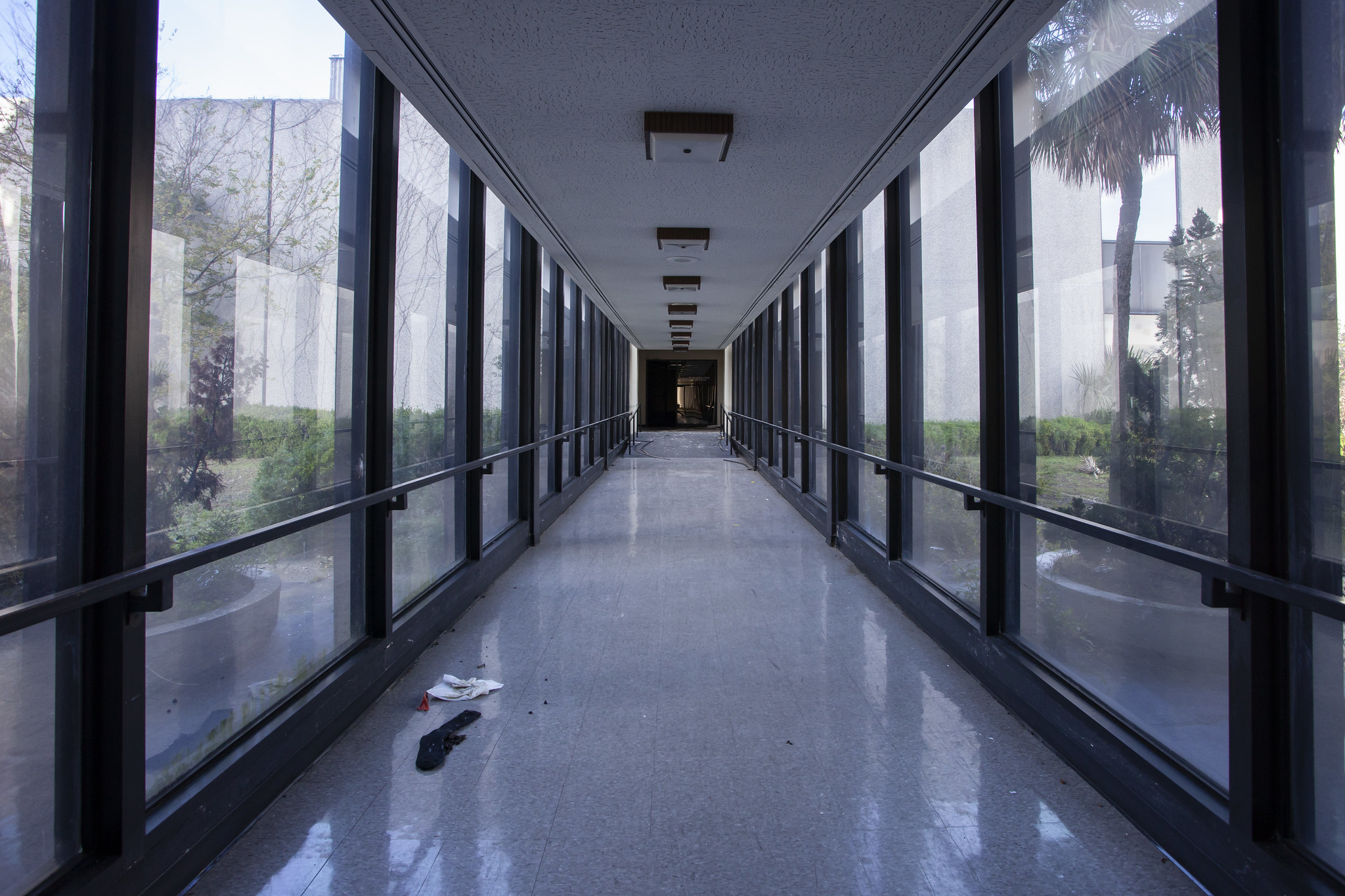 51969448910_eb41871e2d_k