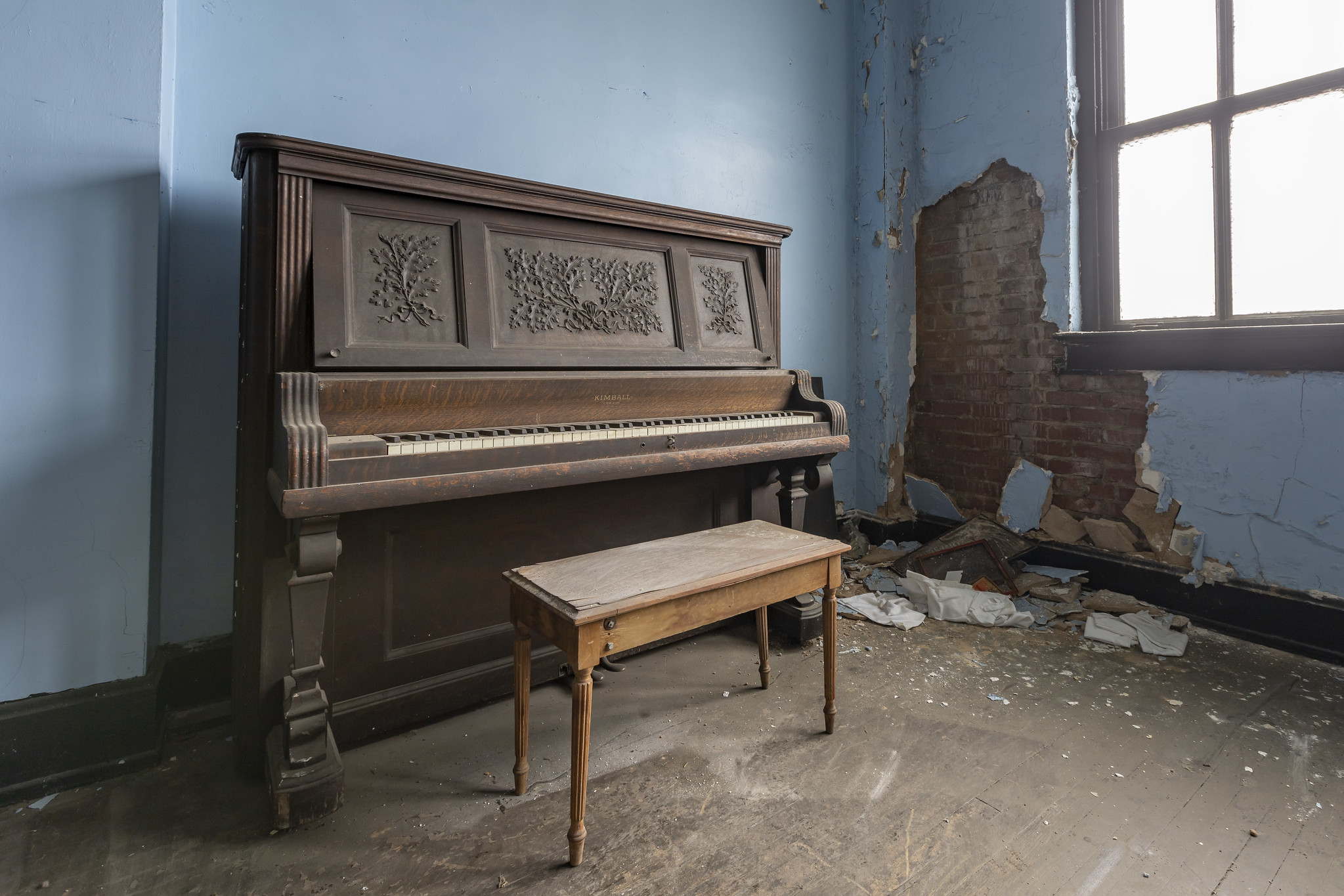 51990890514_66ec44a067_k