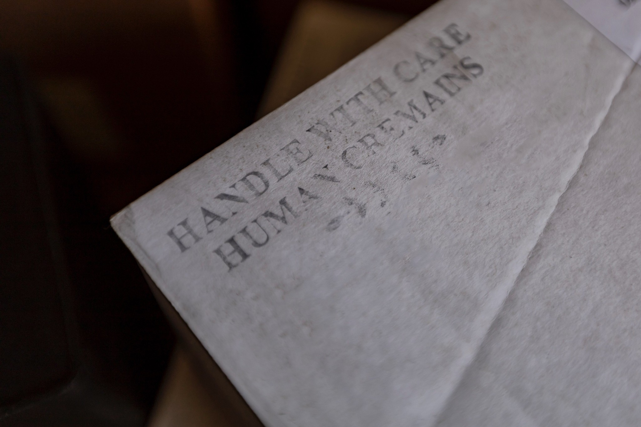 52134391603_f2dcb82ed8_k