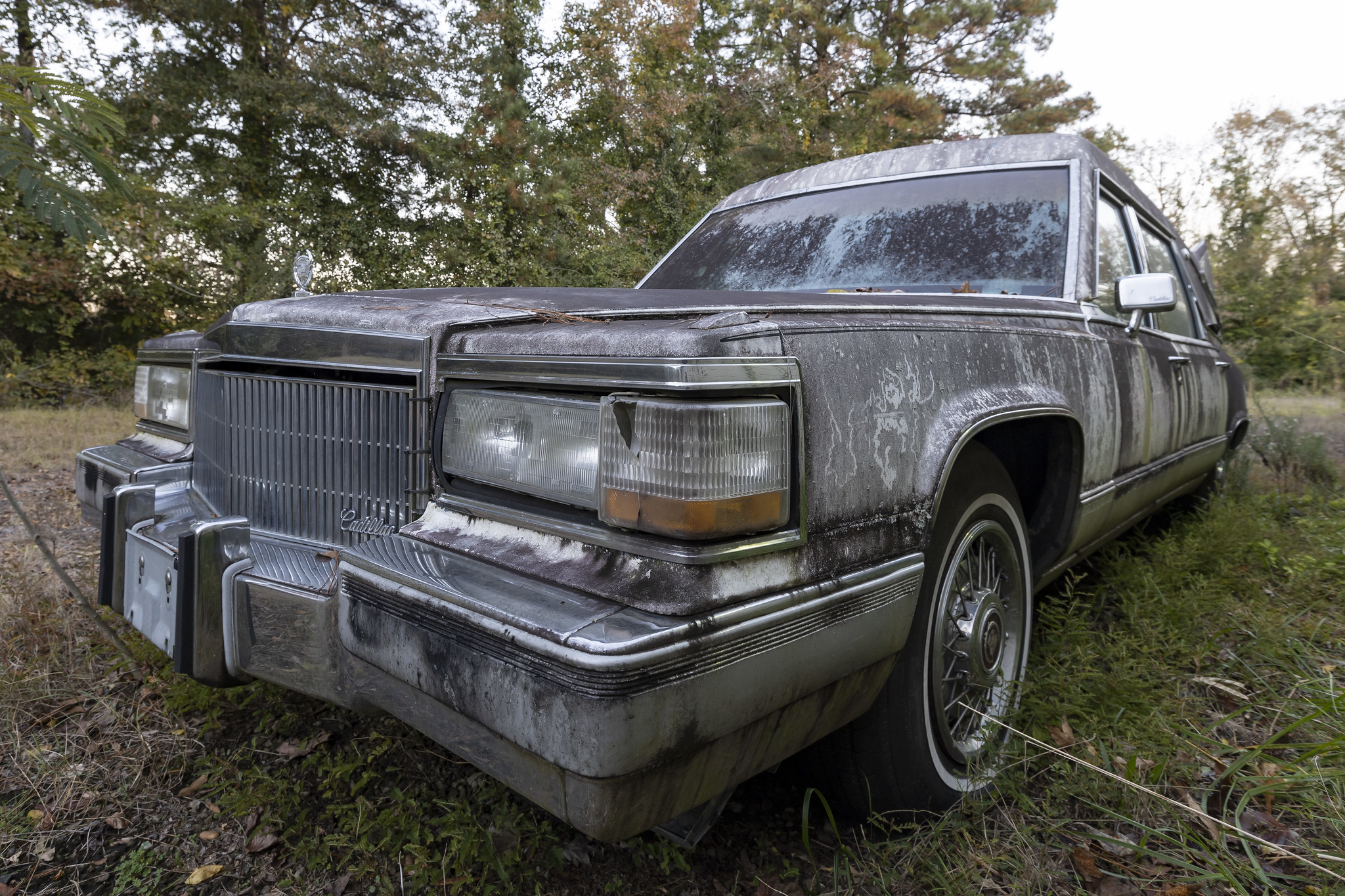 51751599464_3b078dce4f_k