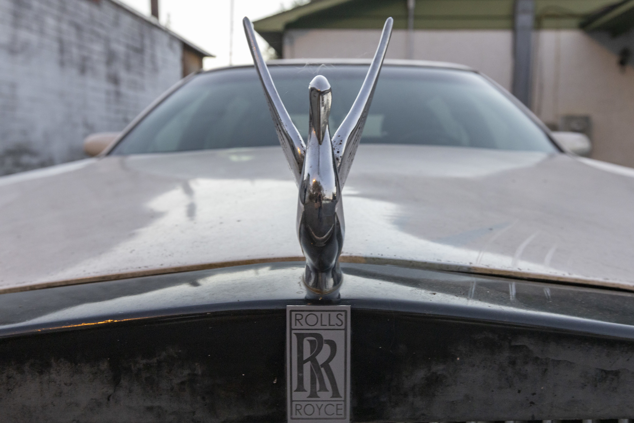 52419365624_8a736e108b_k