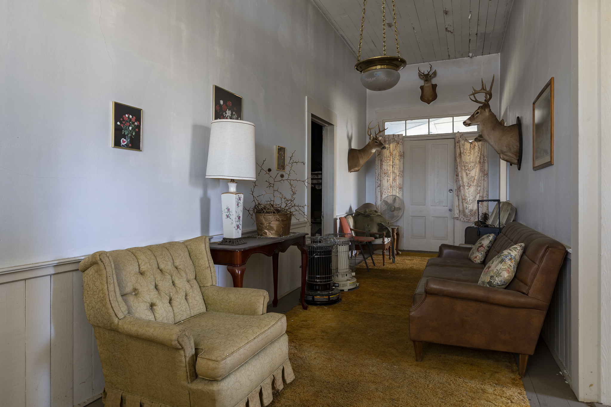 52738727835_b41e0ac5b8_k