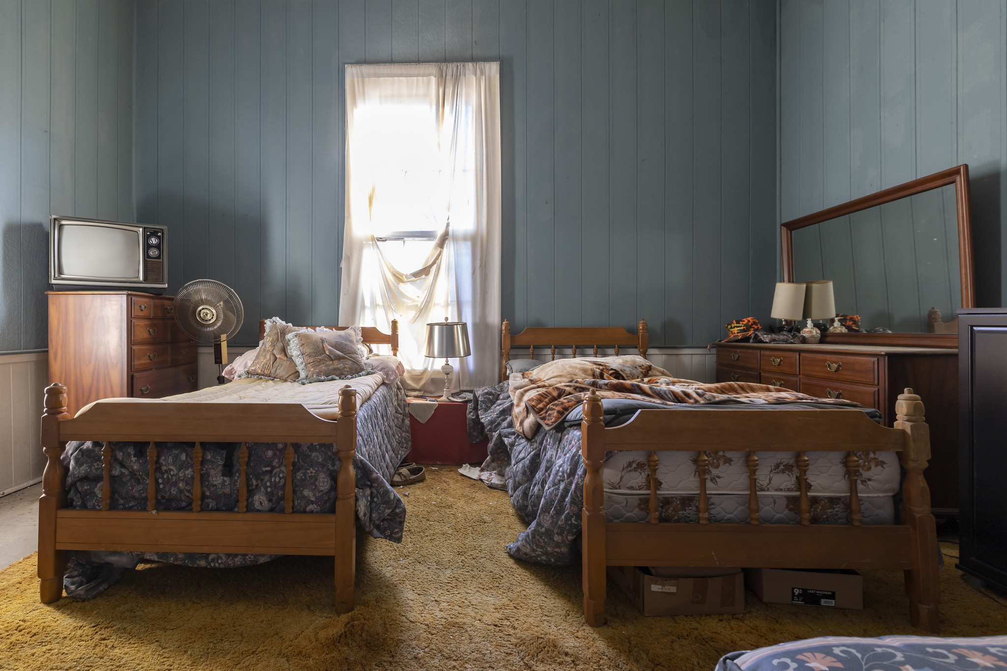 52827453421_afcc379e3e_k