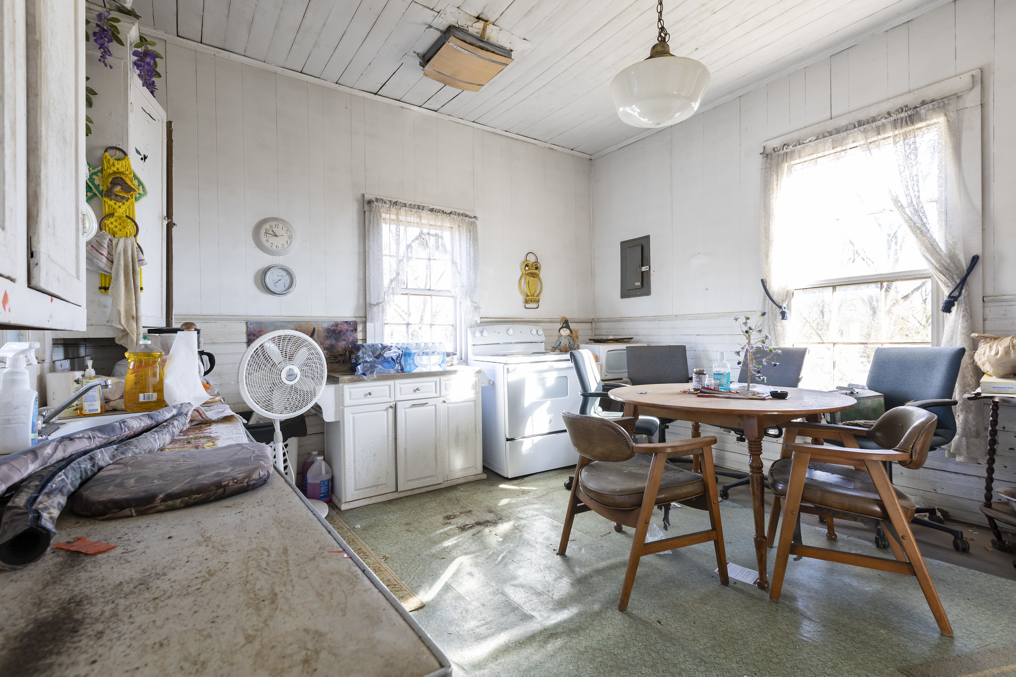 52827942003_cf300e7e1c_k