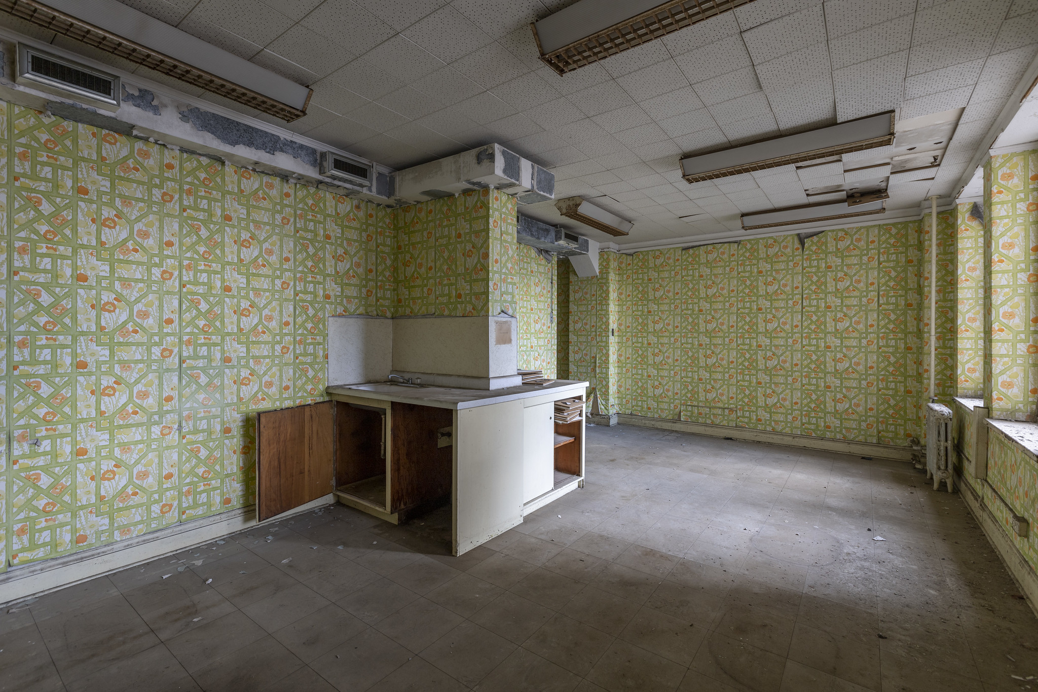 52952390996_31eff0a338_k