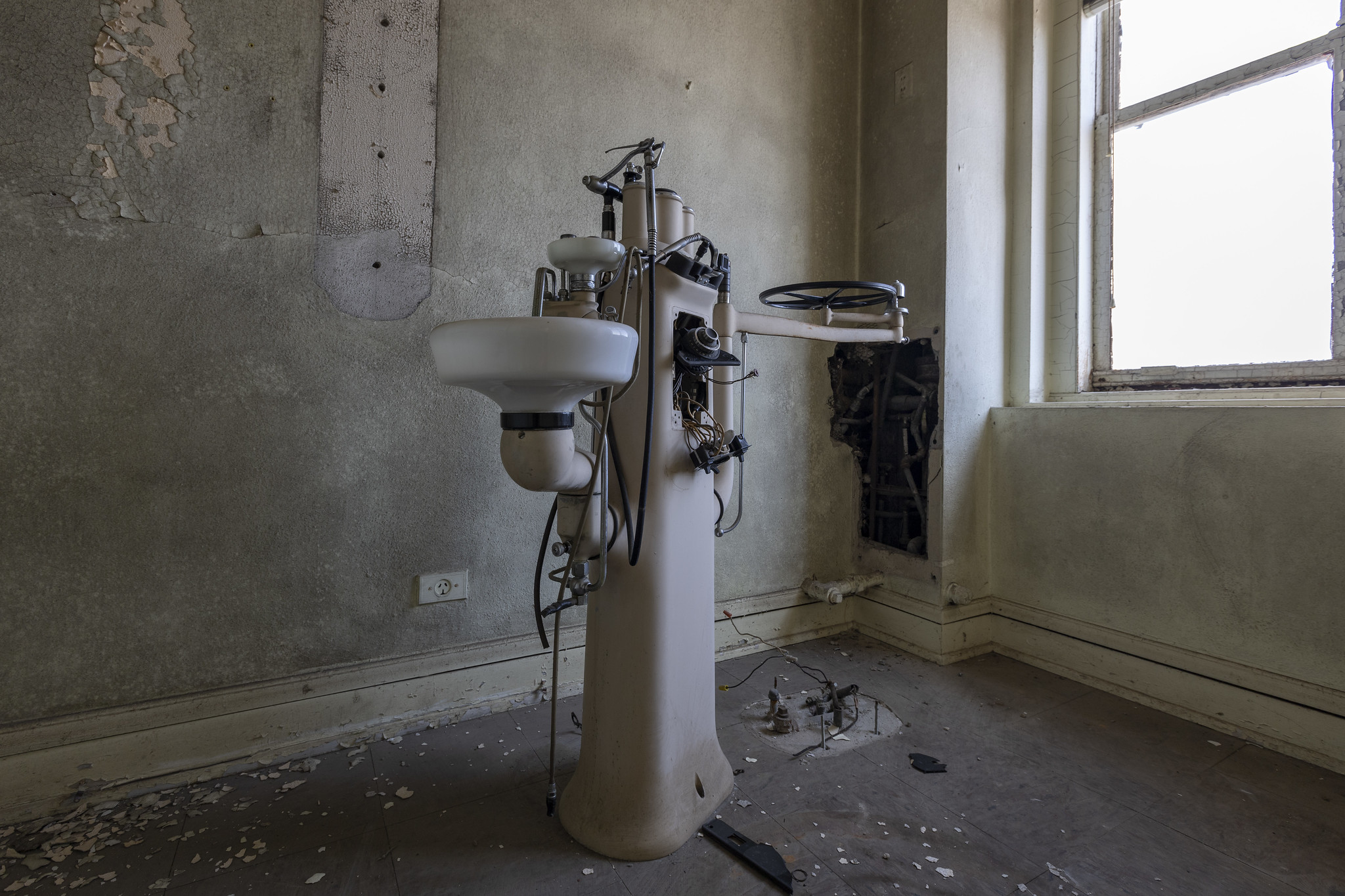 52952526519_a3e7be62e7_k