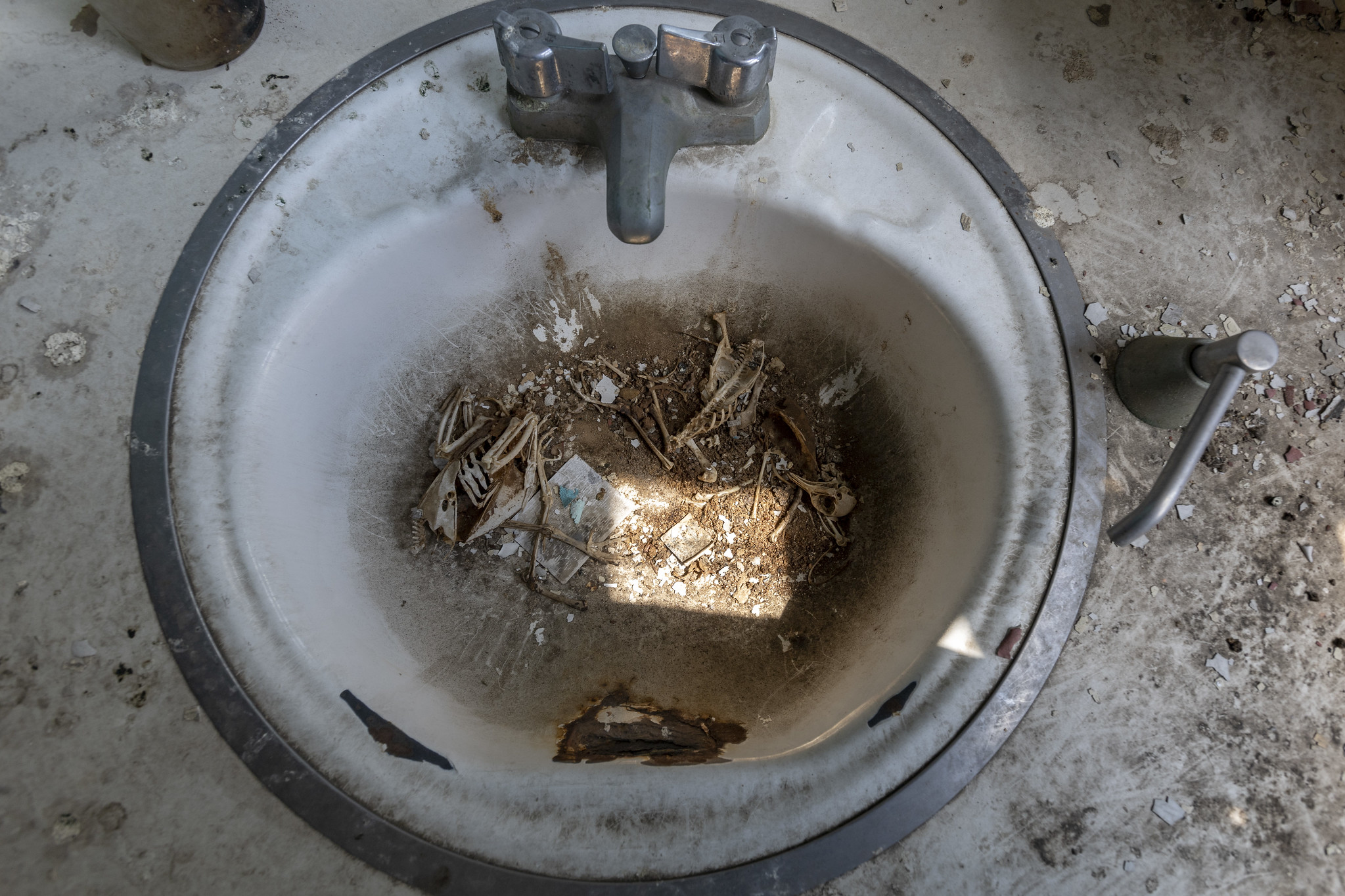 52953019468_f27f3c9dab_k