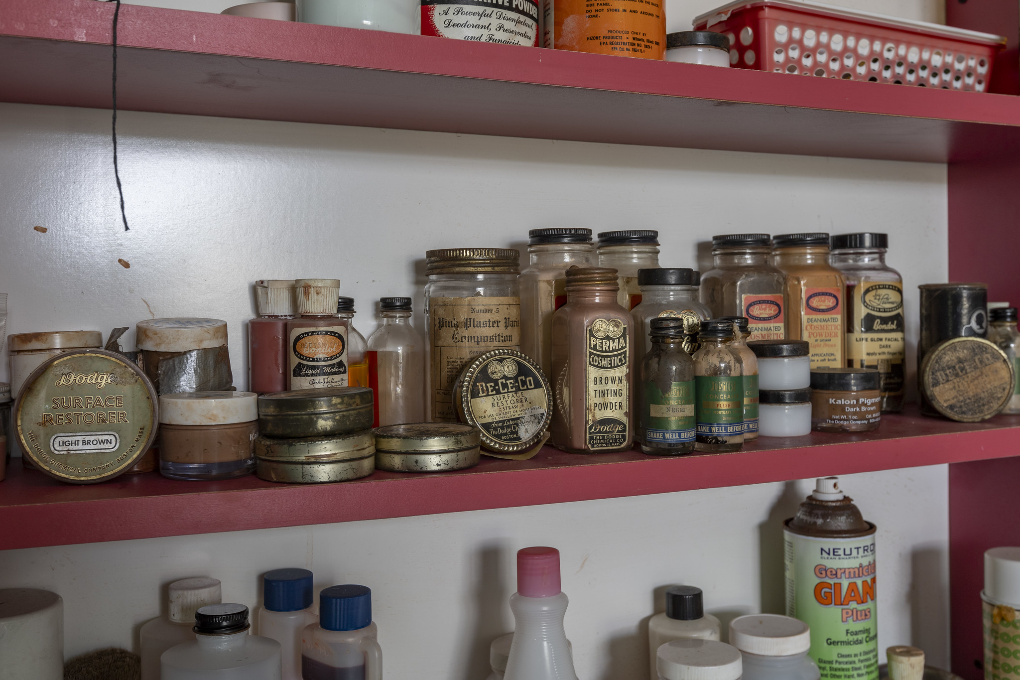 53074459792_a37d154ca1_k