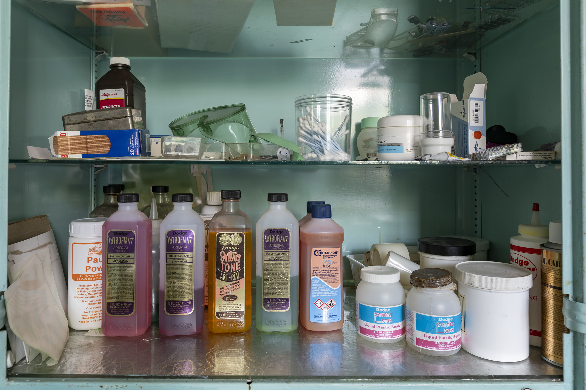 53075543118_c4ffb11b09_k