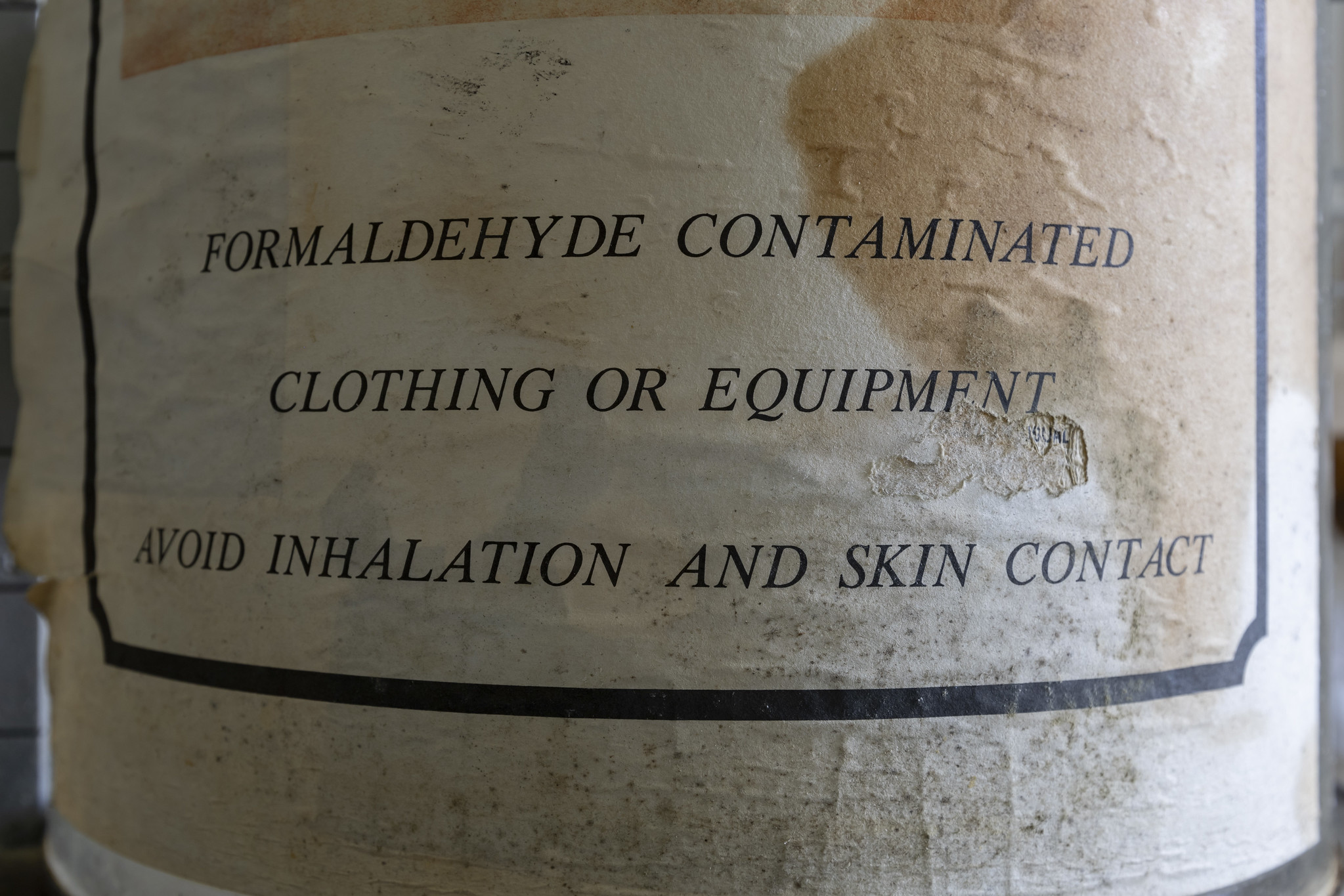 53257080281_79656c3650_k