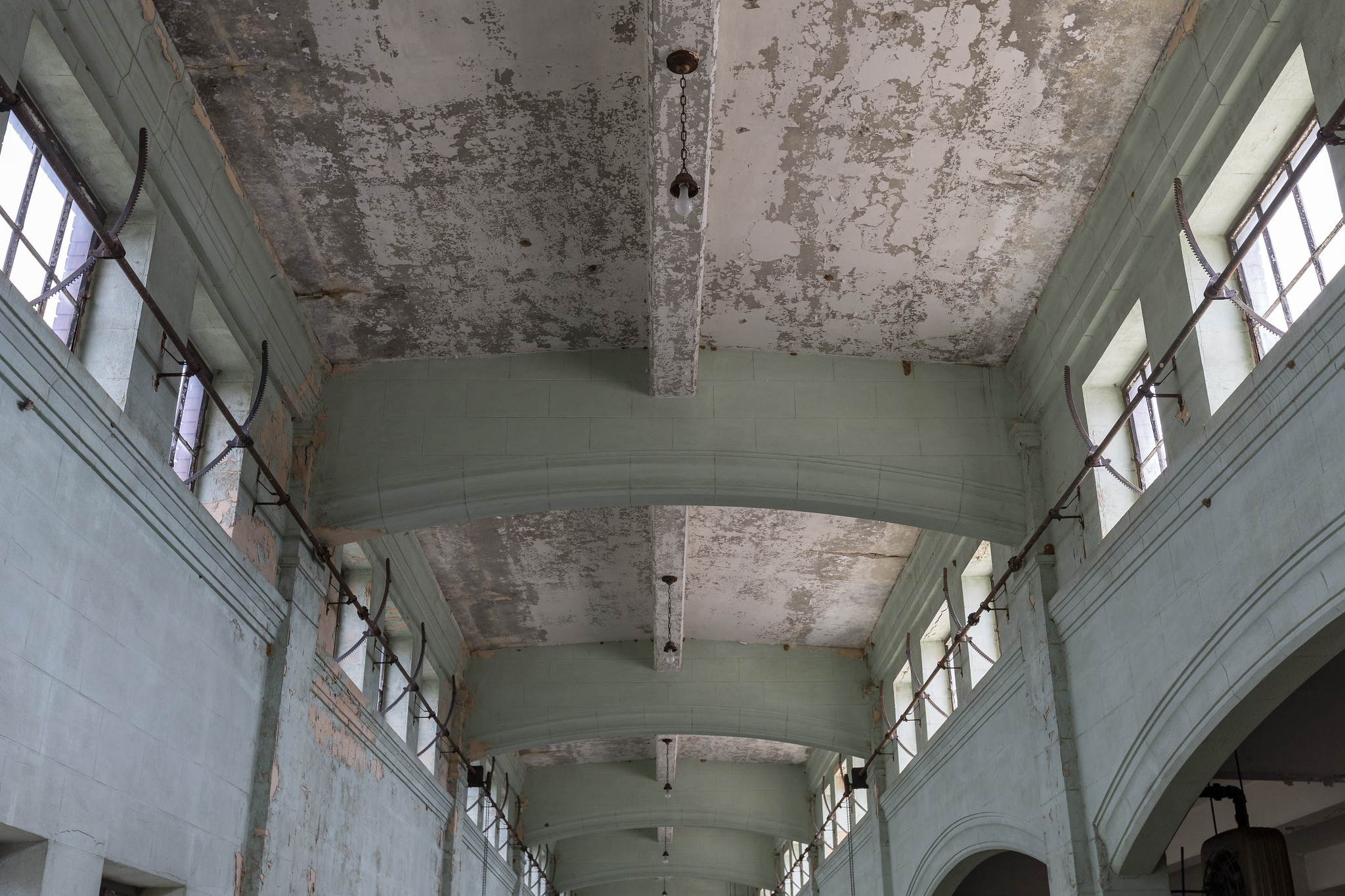 53103094789_ef73598f47_k