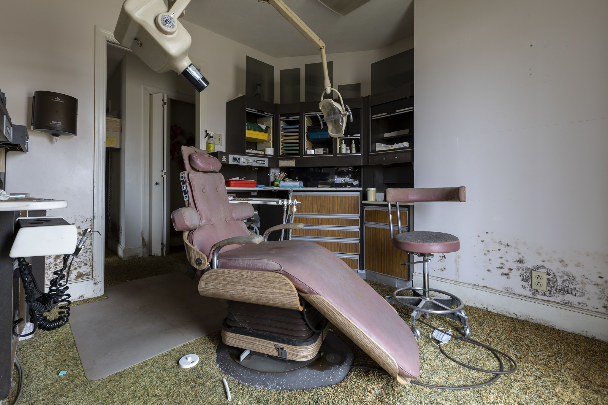 53548589920_8719739a24_k