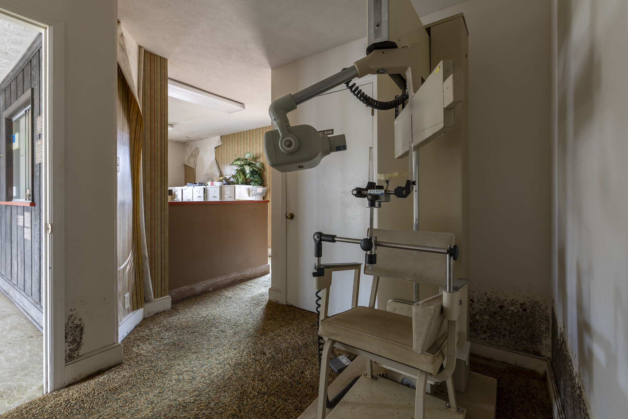 53552522387_c2436f5238_k