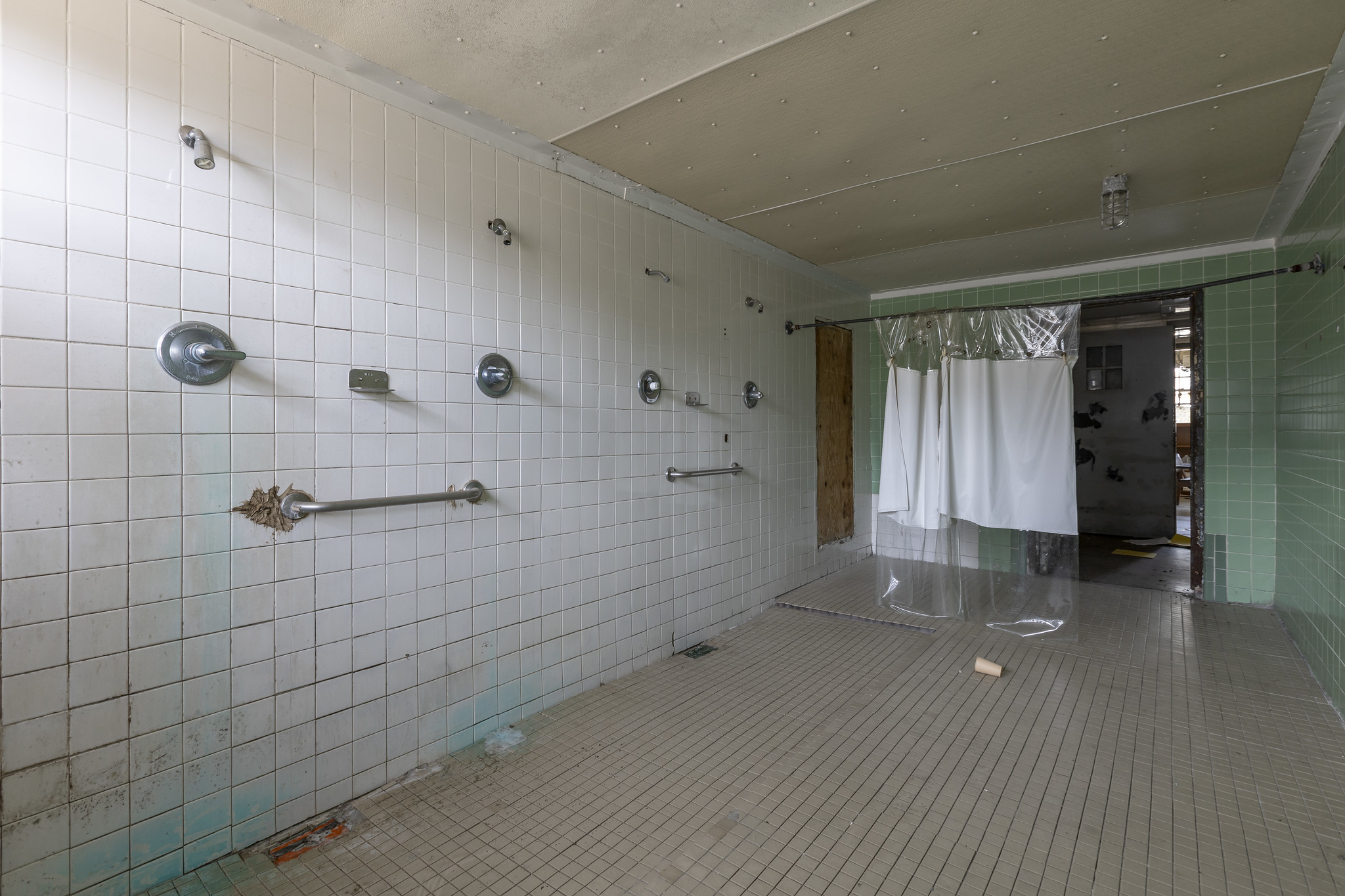 53707344101_ed356f7f67_k