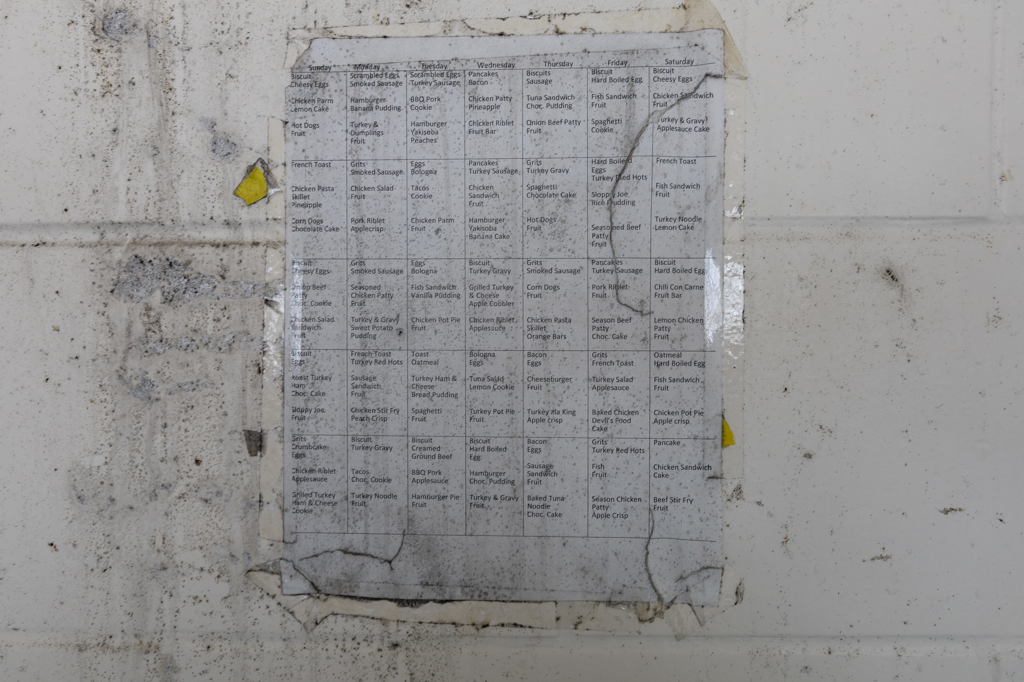 53707552293_6ce687f26b_k