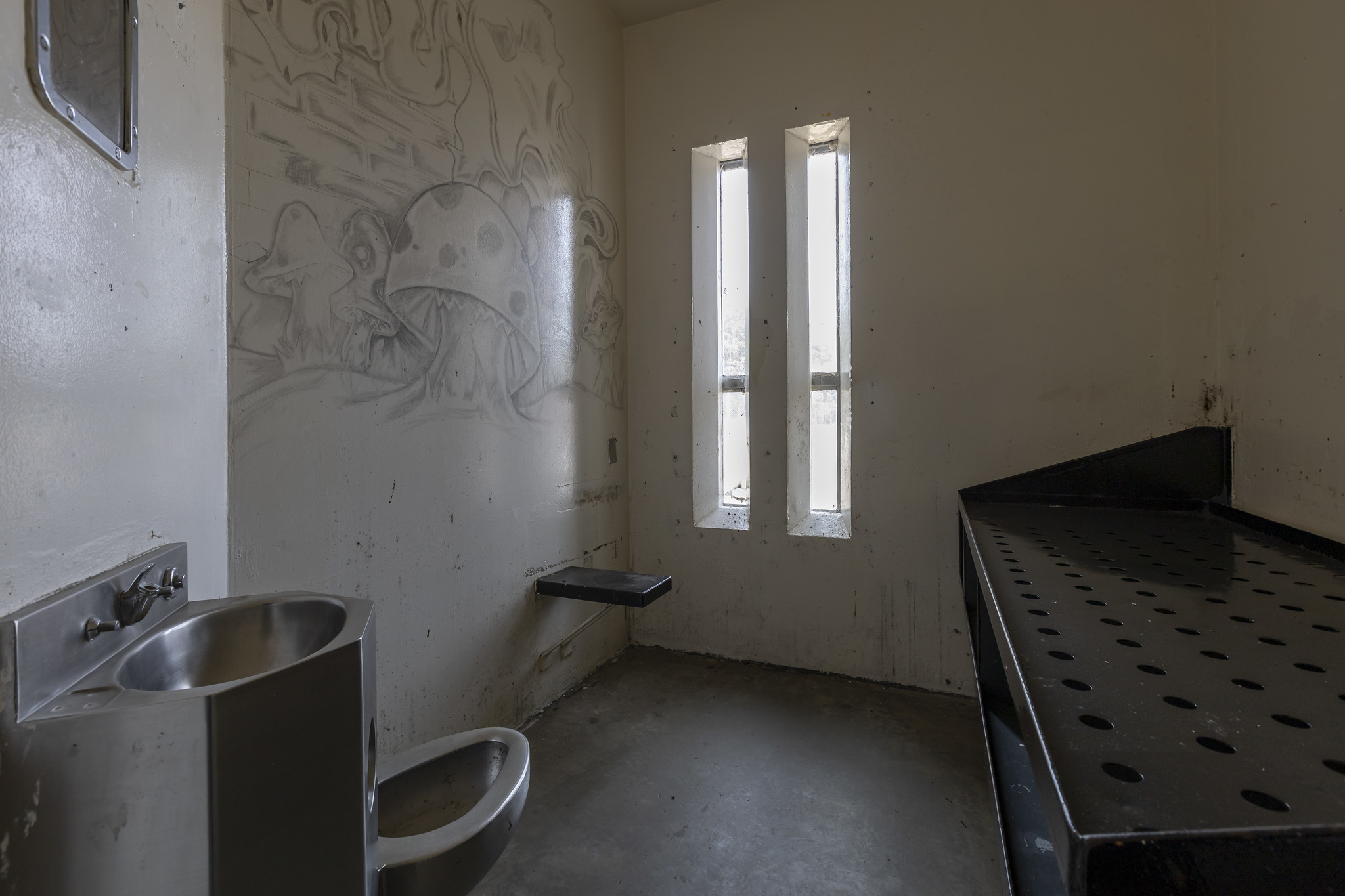 53709588074_6ccfe3ca45_k