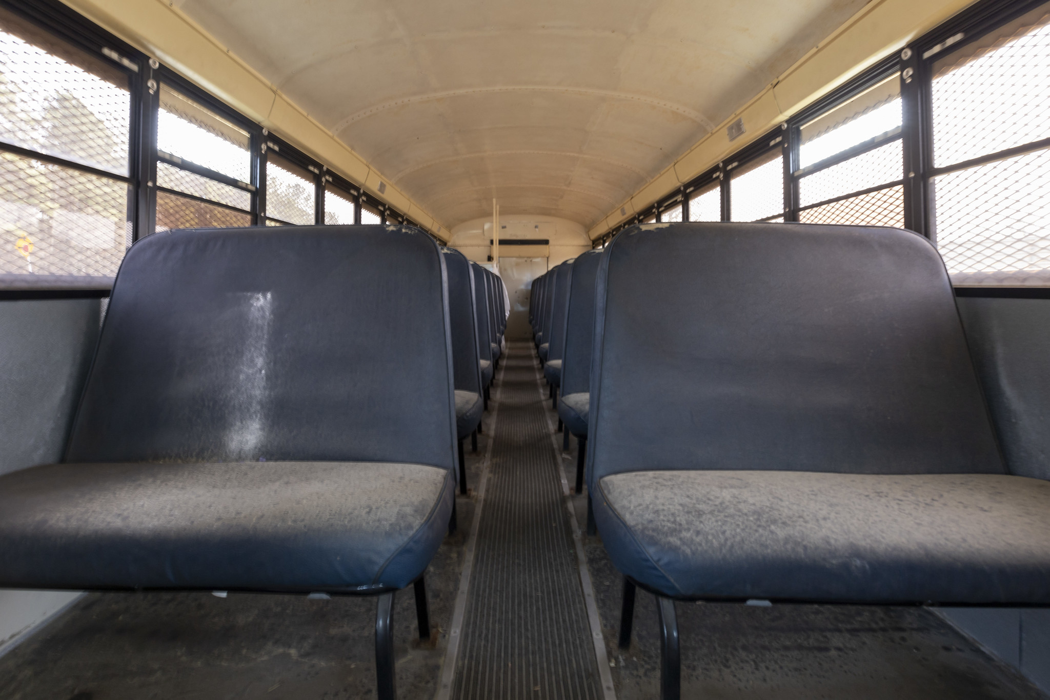 53709691290_b8b3c50319_k