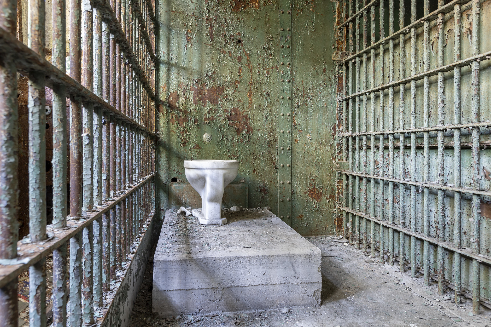 53806511135_1189dade3c_k