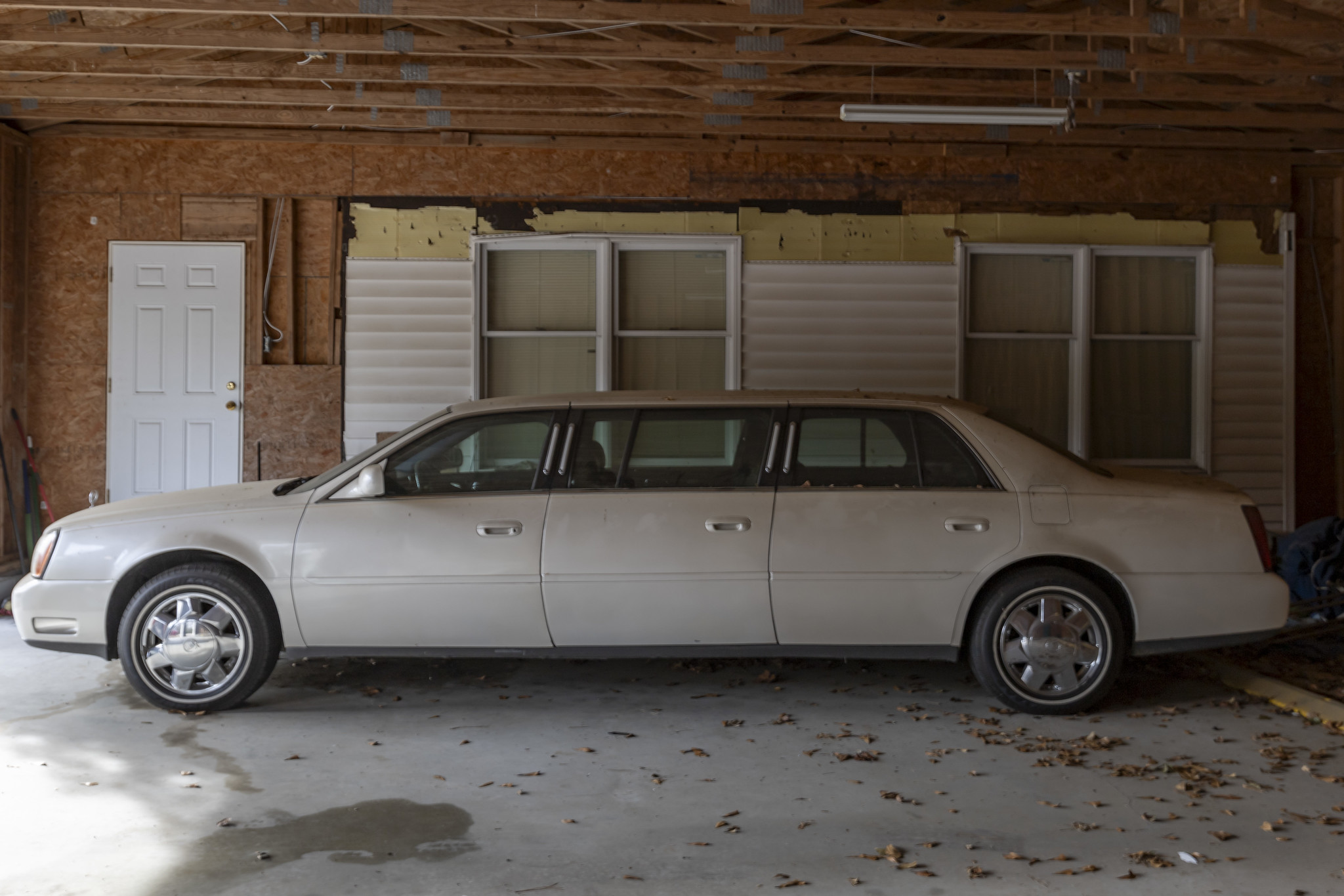 53828532425_81ae2dbcf5_k