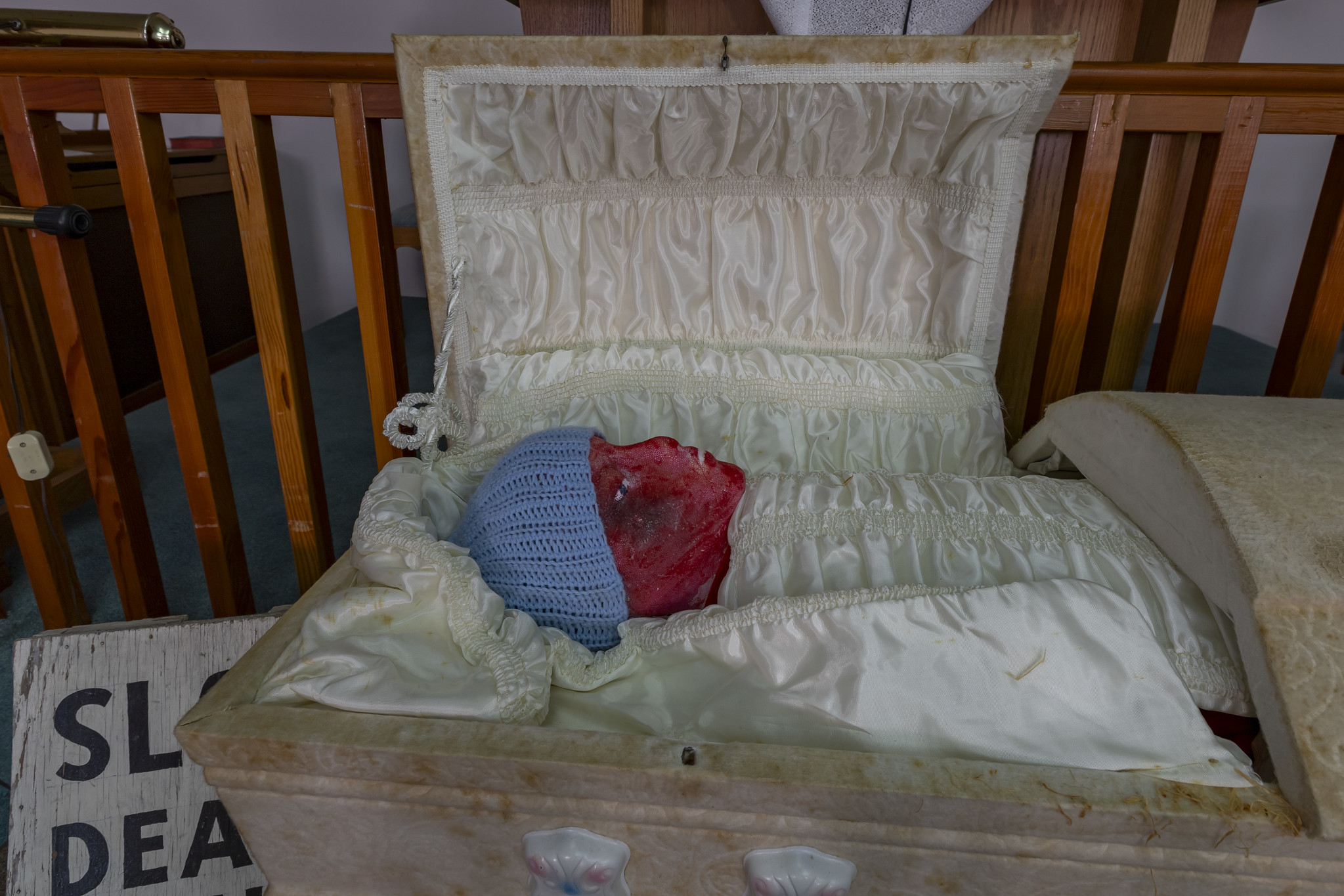 53830485454_22afe2d317_k