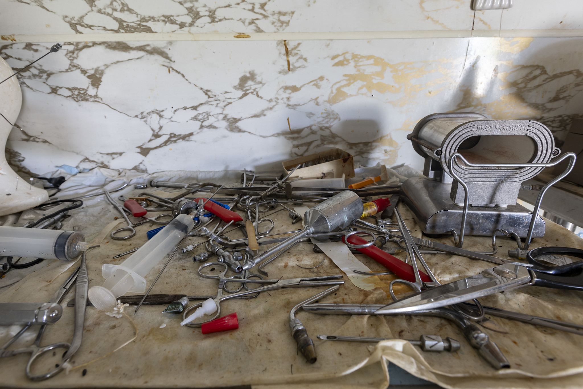 53231322726_c289703d45_k