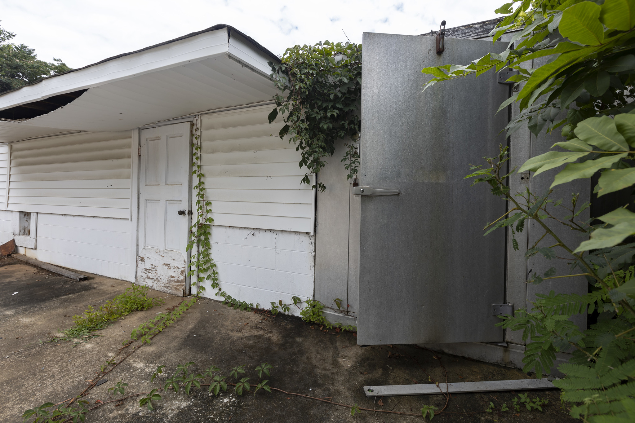 53288838572_96736ce3e2_k