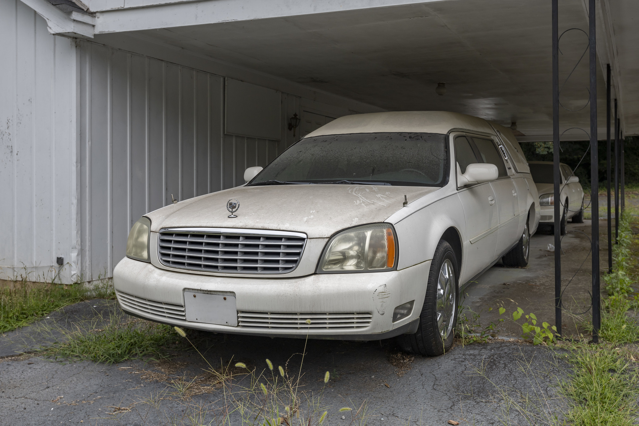 53562047844_17a1d2284b_k